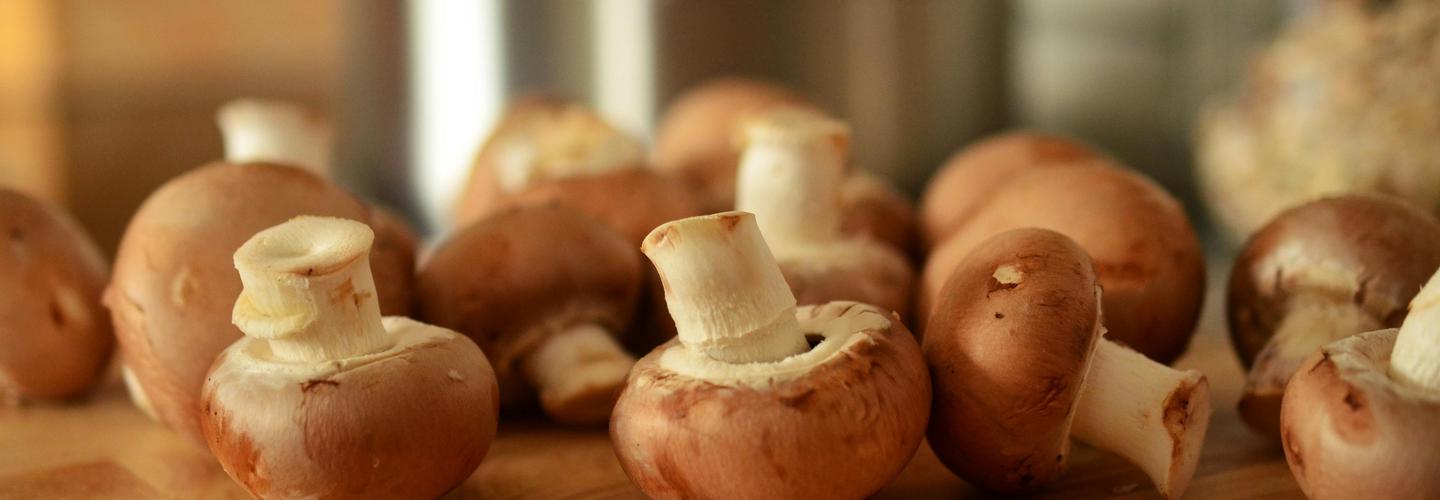 Buy LSD USA cover photo