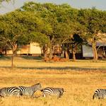 Vencha Travel - photo 1