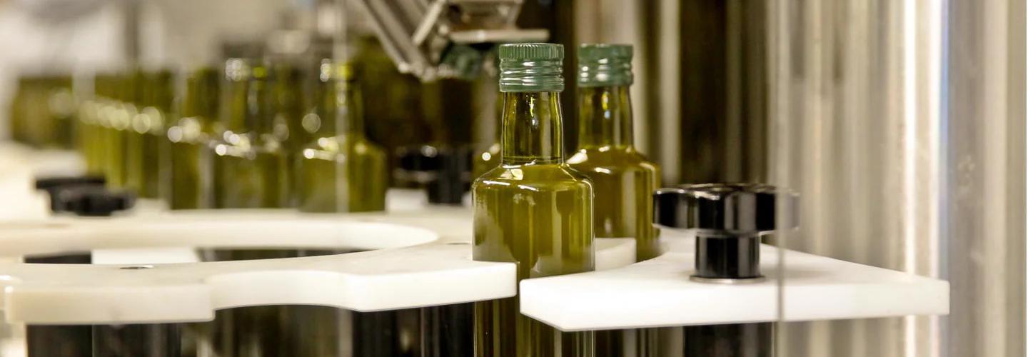 Wholesale olive oil cover photo