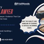 FrizWoods LLC - Criminal Defense Law Firm - photo 3
