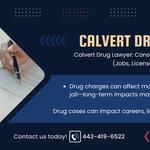 FrizWoods LLC - Criminal Defense Law Firm - photo 4