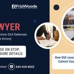 FrizWoods LLC - Criminal Defense Law Firm - photo 5