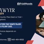 FrizWoods LLC - Criminal Defense Law Firm - photo 9