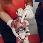 Bedi Hospital Nawanshahr, - photo 4