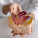 Bedi Hospital Nawanshahr, - photo 6