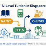 Tutor City - photo 1